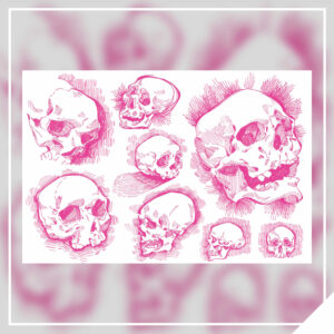 Skull Studies 4x6in Print